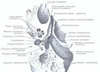 Анатомия височной кости человека Лицевой канал на латыни