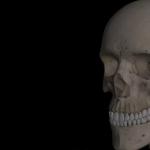 Анатомия: височная кость