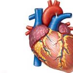 Постоянная боль в области сердца: её возможные причины