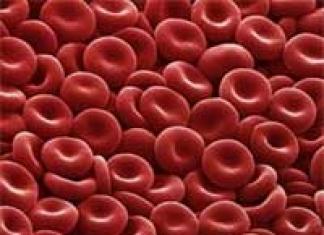 Главные составляющие крови человека